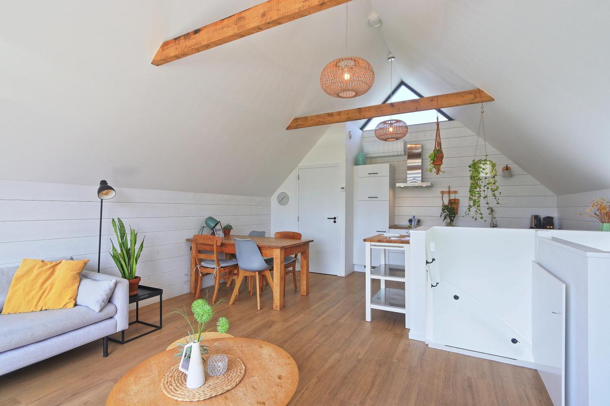 Nieuw! Singel 3a Met Sauna - Baddomburg Ferienhaus *