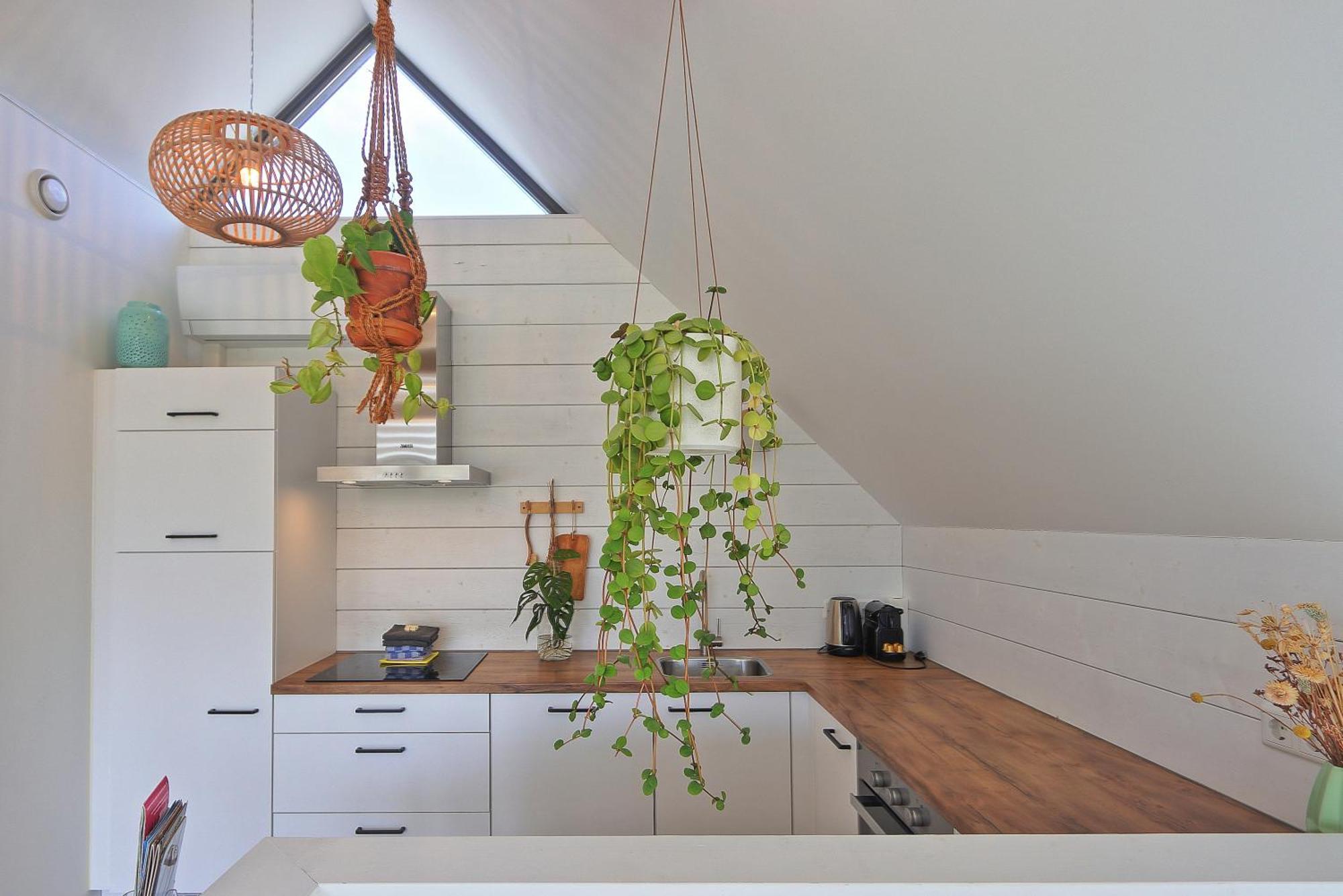 Ferienhaus Nieuw! Singel 3a Met Sauna - Baddomburg